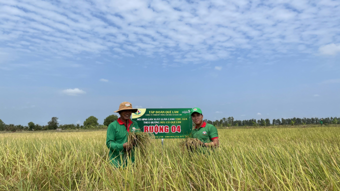 Những mô hình nông nghiệp hữu cơ ngày càng nhân rộng ở miền Tây Nam bộ. Ảnh: Hoàng Anh.